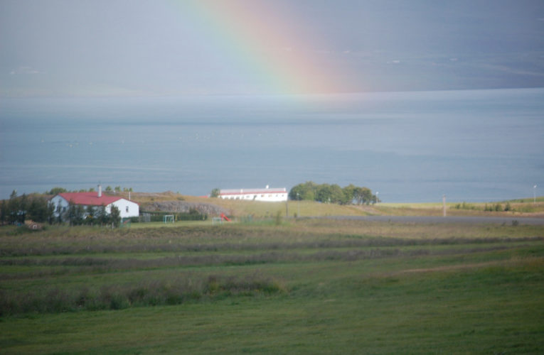 Watauga: Is he really my true Valentine? Love and PTSD.