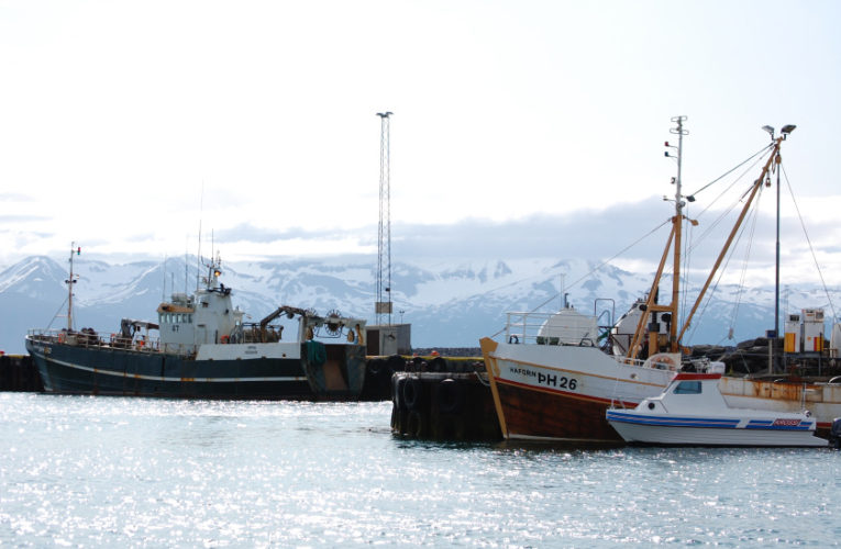 Watauga: Woman/wife/mother: PTSD + suicidal thoughts