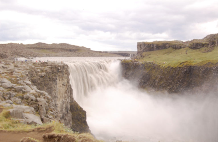Watauga: Help! I’m a lost little amoeba in this big PTSD ecosystem