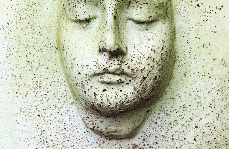 PTSD Book for Veterans and Trauma Sufferers in Watauga